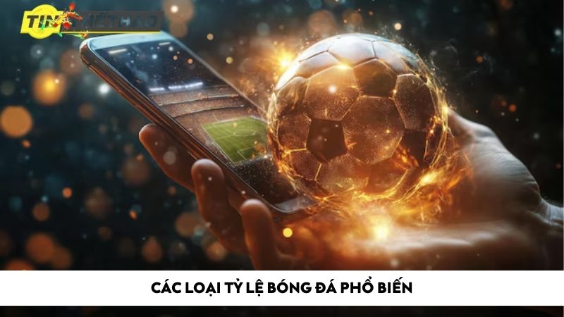 Các loại tỷ lệ bóng đá phổ biến