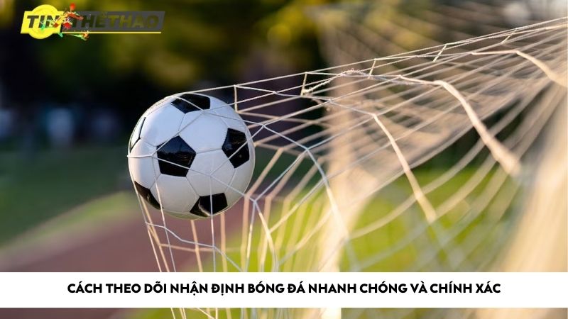 Cách theo dõi nhận định bóng đá nhanh chóng và chính xác