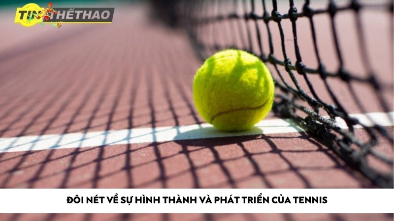 Cách xem trực tiếp tennis với chất lượng tốt nhất