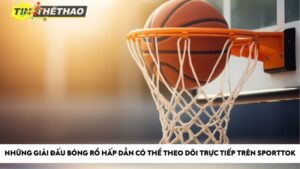 Những giải đấu bóng rổ hấp dẫn có thể theo dõi trực tiếp trên Sporttok