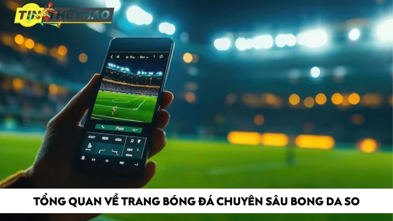 Tổng quan về trang bóng đá chuyên sâu Bong Da So